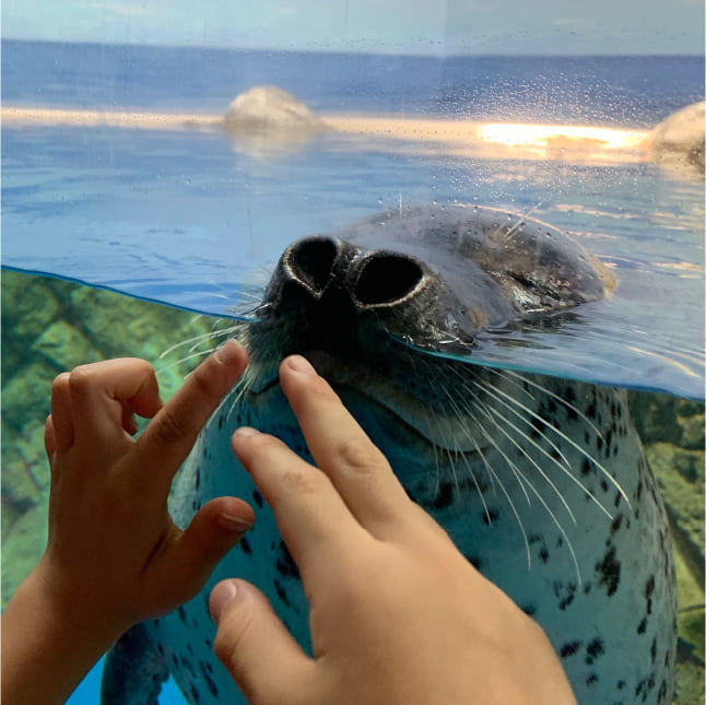 イメージ画像